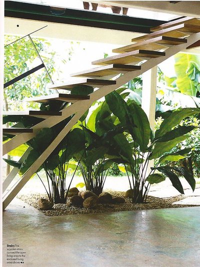 [plant+stairs.jpg]