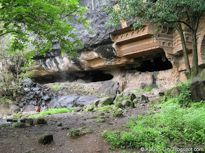 Caves in Forest
