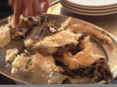 Her havkat til frokost: