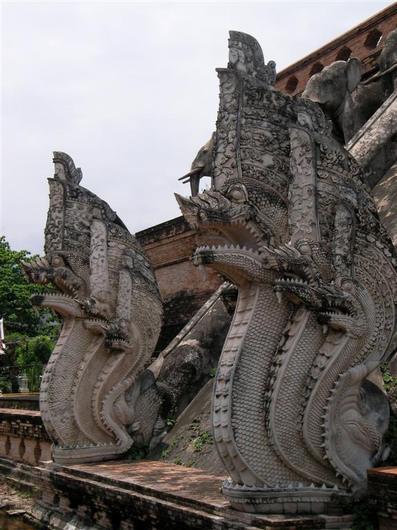 [SANY0015+(Large).JPG]