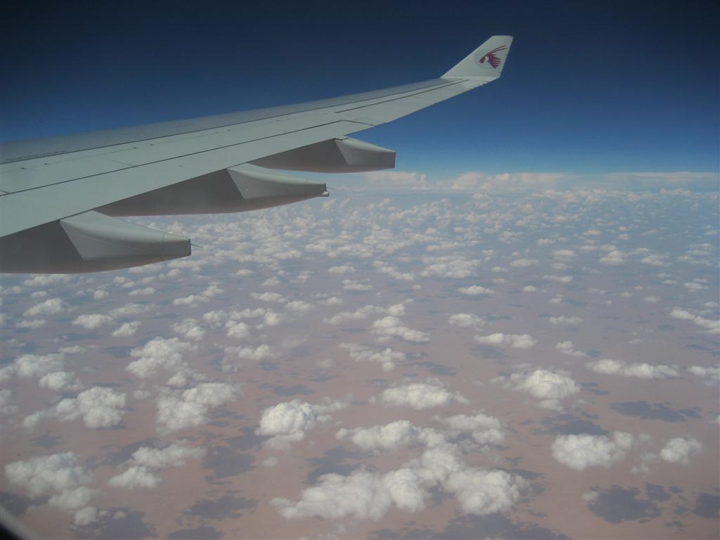 [IMG_8180+(Large).JPG]