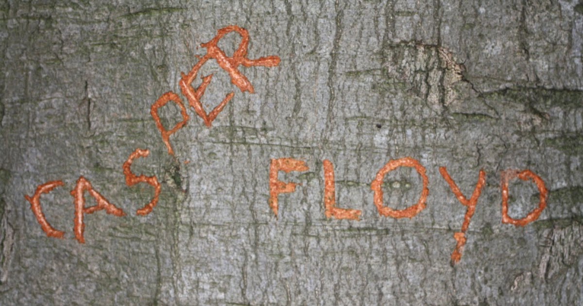 crispina gekken en dwazen crispina gekken en dwazen