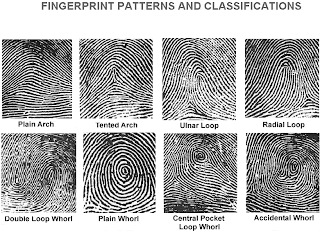 Pattern Types in Fingerprint Identification | eHow