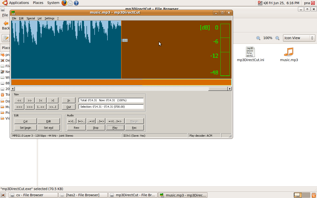 Linux Ocean MP3 Direct cut works good in Ubuntu 9.04