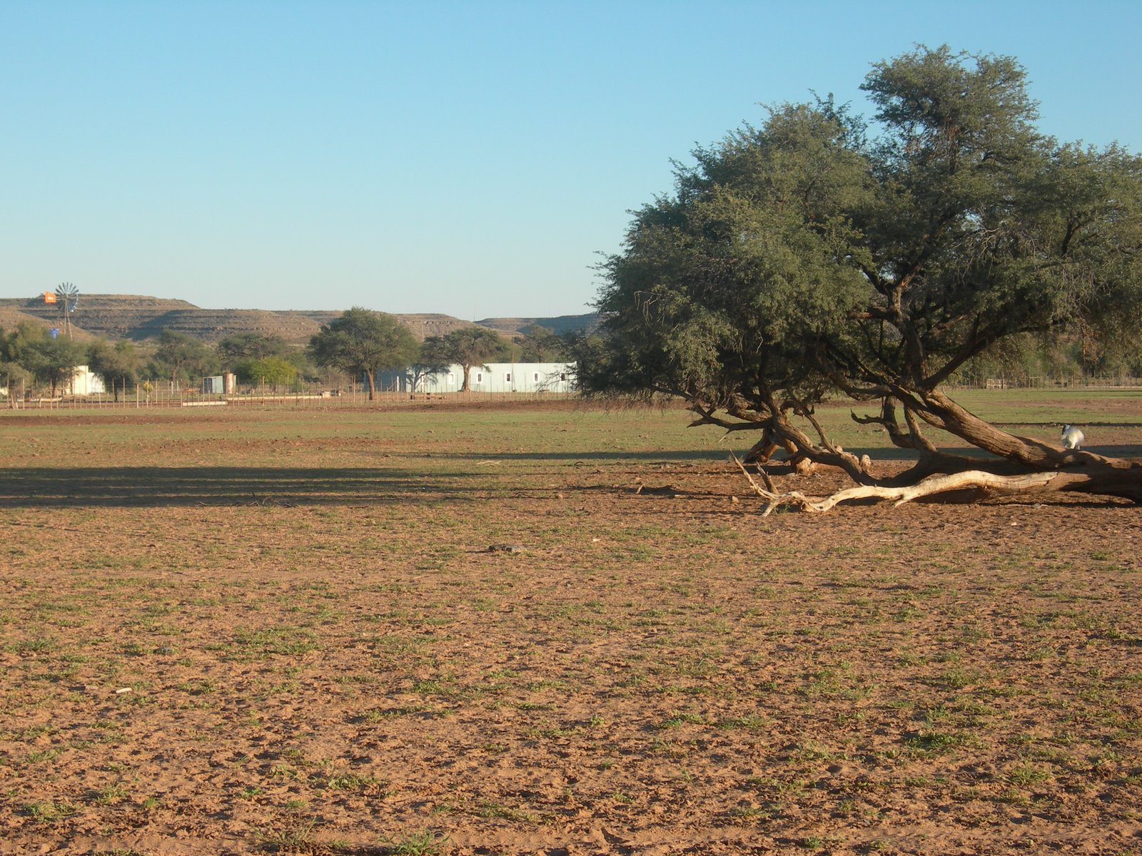 [DSCN3242.JPG]
