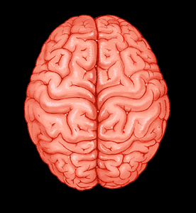 [hemispheres[1].gif]