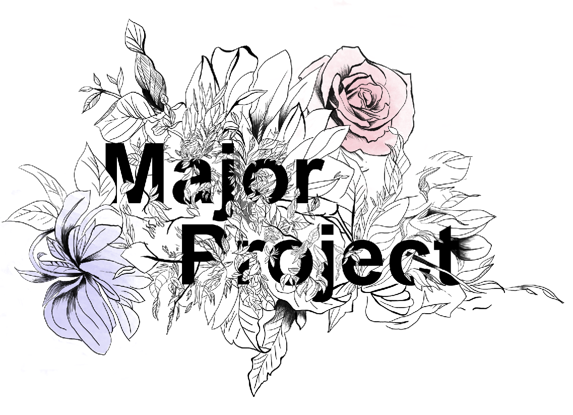 Charlotte Corrigall & Annabelle Archibald. Major Project 2010.