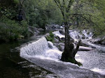 Rio Bestança