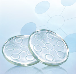 Biodisc: Biodisc ( Bahasa Melayu)