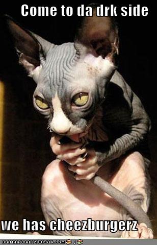 [funny-pictures-come-to-the-dark-side-says-bald-cat.jpg]