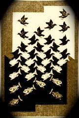 Eclisse sul gran massimo solare moderno