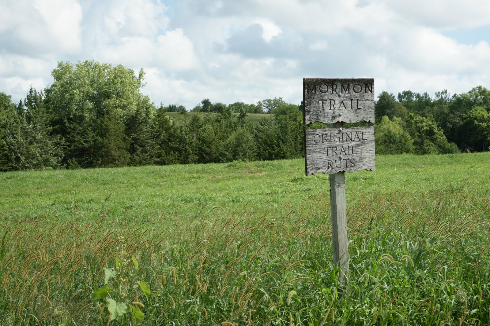 The Old Cowboy and Photography Winter Quarters