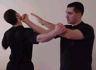 Dovus Egitimleri Wing Chun Ip Man Dovus Egitimi Indir Wing Chun Nasil Yapilir