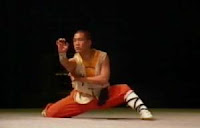 chinese kung fu basics, kung fu martial arts techniques, kung fu shaolin history, movie kung fu fighting