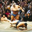 [sumo+wrestling,,bashoinflatablesumo,japan,japanese,luchadores,rikishi,sumo,sumocasesumo+costume,sumo+deadlift,sumodesign,sumomawashi,sumorobots,sumosuit,sumosuits,sumovolleyball,sumo+wrestler,sumo+wrestlers,sumo2.jpg]