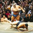 ,bashoinflatablesumo,japan,japanese,luchadores,rikishi,sumo,sumocasesumo costume,sumo deadlift,sumodesign,sumomawashi,sumorobots,sumosuit,sumosuits,sumovolleyball,sumo wrestler,sumo wrestlers,sumowrestling,sumos,wrestlers,yarbrough,yokozuna sumo 4