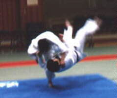 budo,judo dojo,judo gi,judo jujitsu,judo mat,judo movies,judo training,judo uniform,judo videos 2
