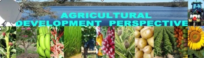 AGRICULTURAL DEVELOPMENT PERSPECTIVE