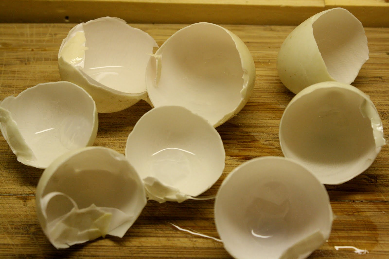 hatching duck eggs for sale