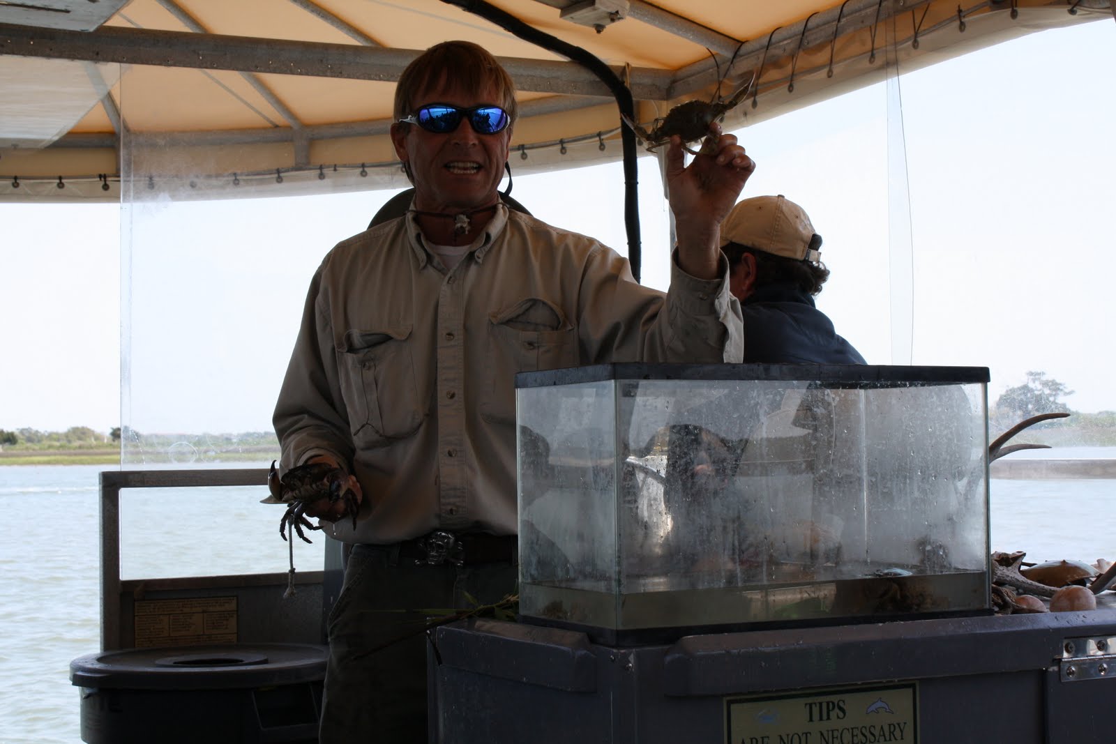 these are my days Ambrose Farms and Capers Island