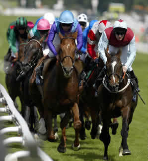 [horse-racing.jpg]
