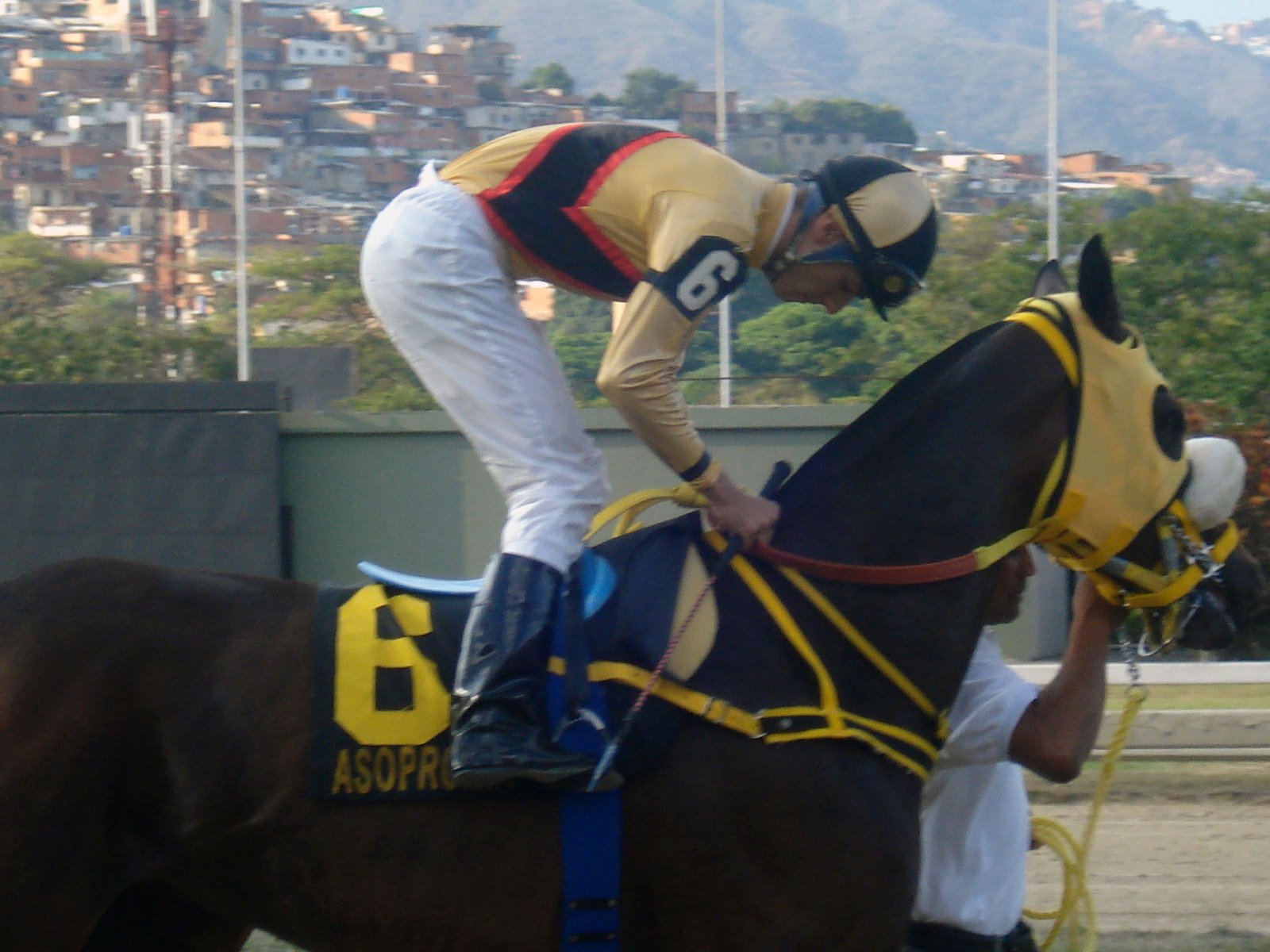 [DSC06827.JPG]