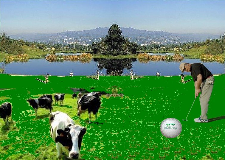 [golfe_ecologico.jpg]