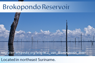 This is an image of the Brokopondo Reservoir in Suriname; there are dead trees standing in the reservoir that were previously part of the rainforest. The trees were flooded when this lake was created by humans in the 1960's.
