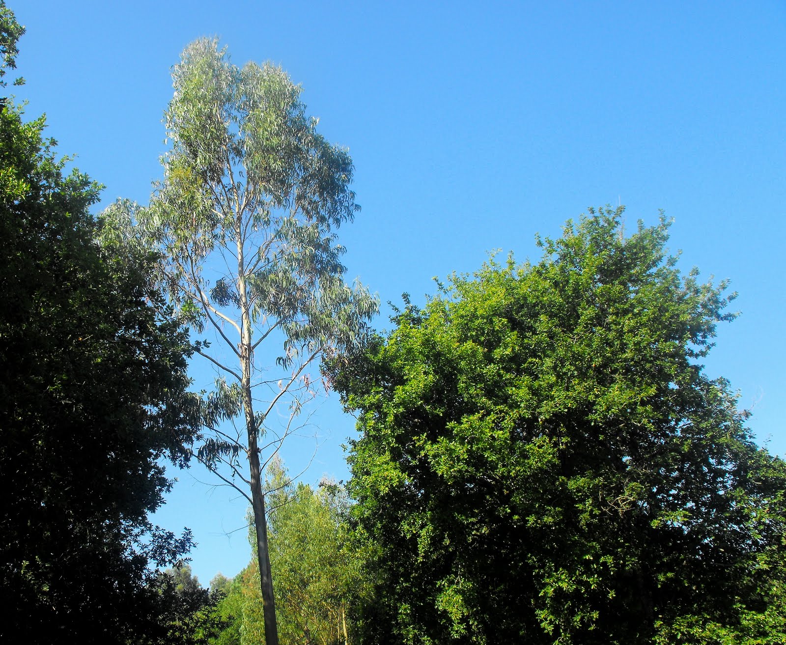 [agosto+verde+4.jpg]