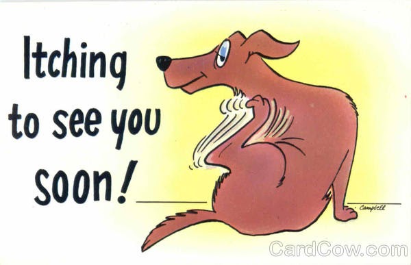 Hope you feel better soon картинки. Hope you are feeling better soon. Take good care and get well soon. Hope soon. Get well soon картинки.