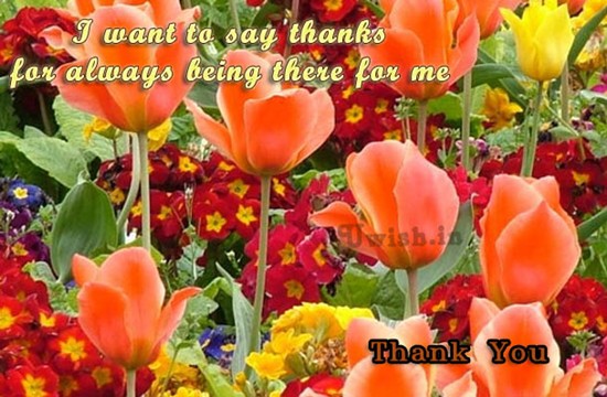 I want to say thanks for always being there for me. Thankyou wishes and greetings with beautiful orange flowers. 