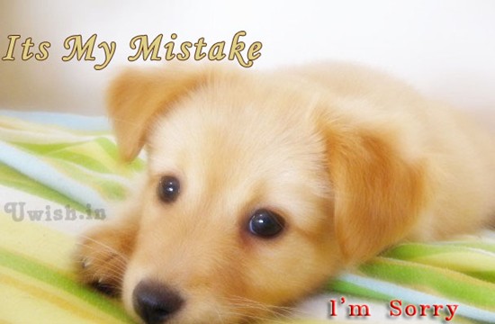 Sorry E greetings and wishes with a cute look by a puppy dog