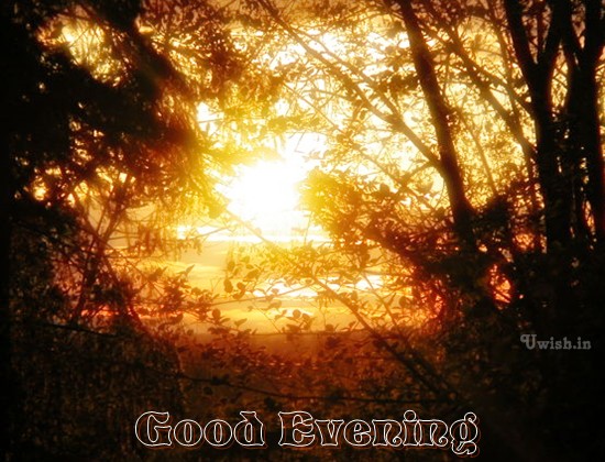 Good evening wishes and e greeting cards with sunset. 
