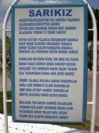 Bodrum Da Sari Kiz Bocegi Tedirginligi Guncel Haberler