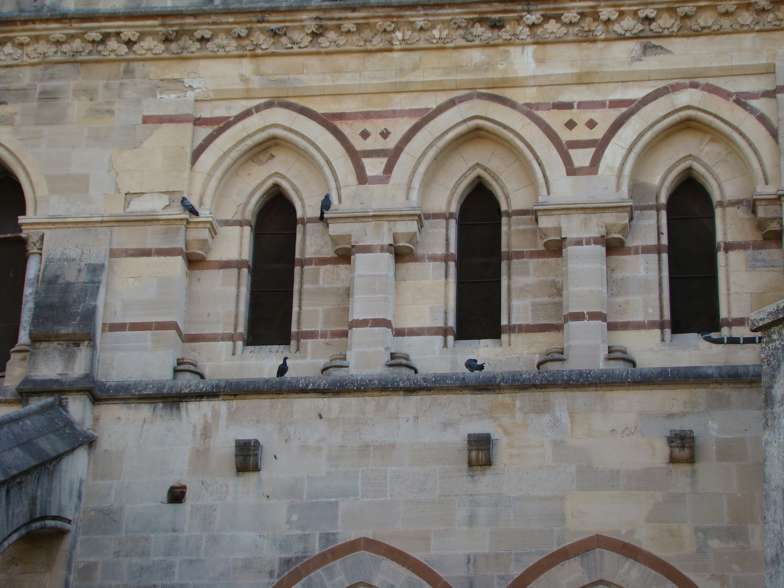 [DSC05008.JPG]