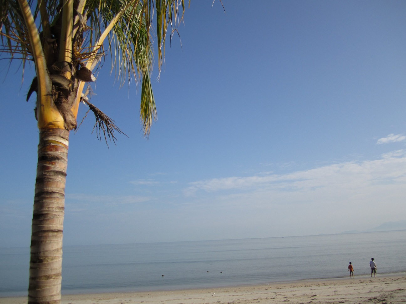 Flamingo By The Beach (Penang) | The Travelog