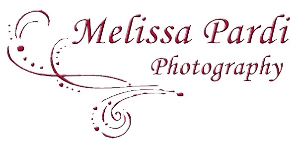 Melissa Pardi Photography - Birmingham Wedding Photography