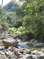 River in Ciudad Colon River in Ciudad Colon