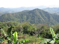 Puriscal forested hillside Puriscal forested hillside