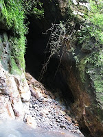Bat Cave, Rio Viejo, Costa Rica cave Rio Viejo, Costa Rica