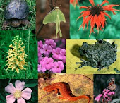 Biodiversity Images