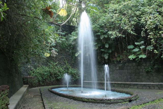 URUAPAN - PARQUE NACIONAL