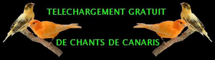 TELECHARGEMENT GRATUIT DE CHANTS DE CANARIS