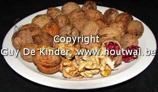 [juglans141006+016_01.jpg]