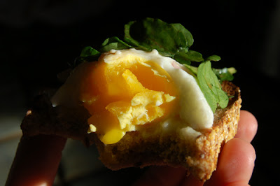 An up close look at the poached egg sandwich