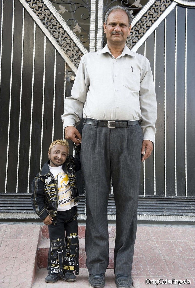 picworld Shortest Bodybuilder In The World