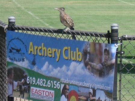 [Archery+Club+fence.JPG]