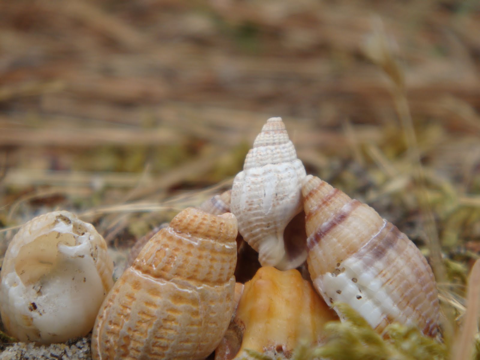 [Ete+2009+3e+oeil8.JPG]