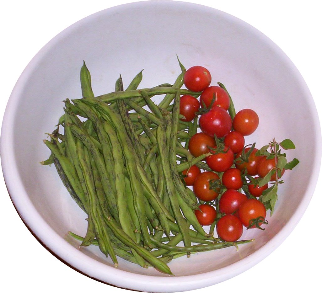 [Beans+&+Tomatoes+harvest.jpg]