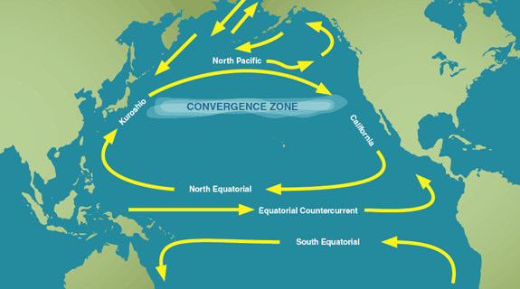 The patch is created in the gyre of the North Pacific Subtropical Convergence Zone.